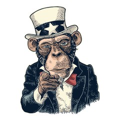 Obraz premium Małpa wujek Sam z palcem wskazującym na widza. Grawerowanie vintage