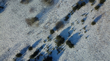 Aerial view of winter frozen forest covered in snow