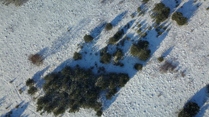 Aerial view of winter frozen forest covered in snow