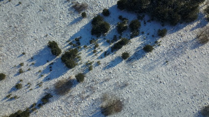 Aerial view of winter frozen forest covered in snow