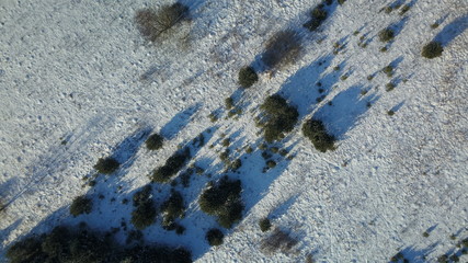 Aerial view of winter frozen forest covered in snow