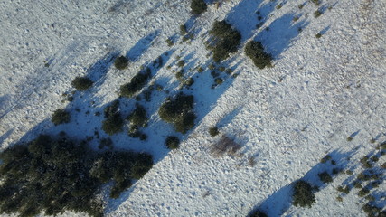 Aerial view of winter frozen forest covered in snow
