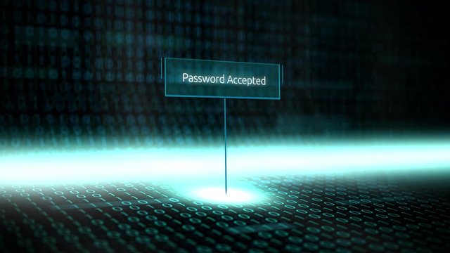 Digital landscape software defined typography with futuristic binary code - Password Accepted