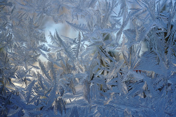Jack frost Ice Patterns on Window on Cold Canadian Day 