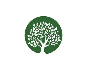 Obraz premium Tree icon logo template