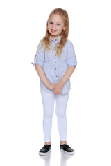 Fototapeta premium The little girl is full-length.
