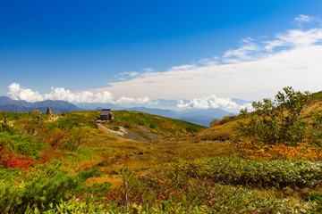 Obraz premium 白馬八方尾根の紅葉／長野県白馬村