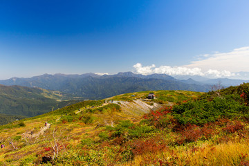 白馬八方尾根の紅葉／長野県白馬村