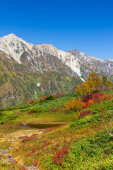 白馬八方尾根の紅葉／白馬三山／長野県白馬村