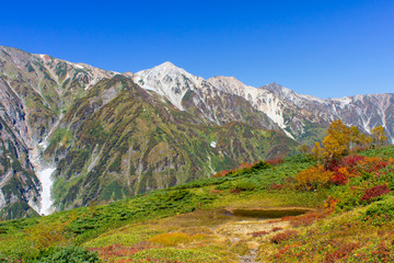 白馬八方尾根の紅葉／白馬三山／長野県白馬村