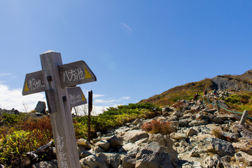 白馬八方尾根の紅葉／道標・看板／長野県白馬村