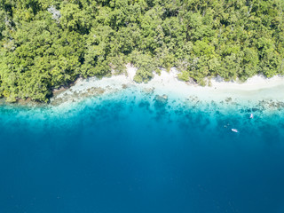 Aerial of Rainforest, Beach, and Reef in Raja Ampat