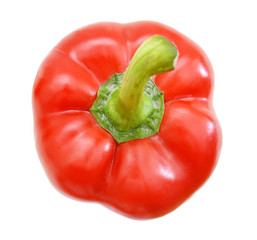 red pepper over white background