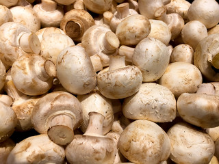 Shiitake mushrooms on display in a produce store