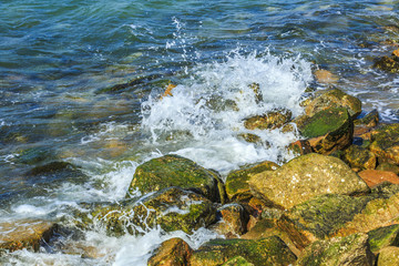 Obraz premium Island Ocean