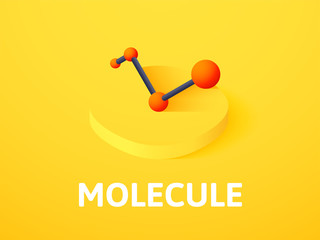 Molecule isometric icon, isolated on color background