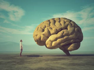 Conceptual image of a large stone in the shape of the human brain © Orlando Florin Rosu