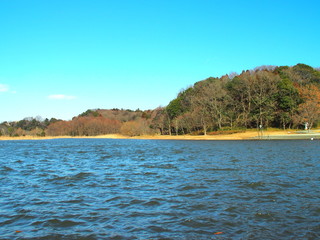 風のある千駄堀池風景