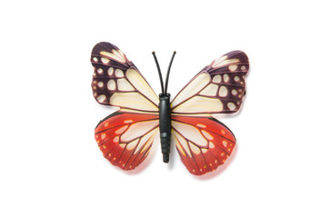 Colourful butterfly isolated on white background