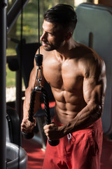 Fototapeta na wymiar Man Exercising Triceps In The Gym