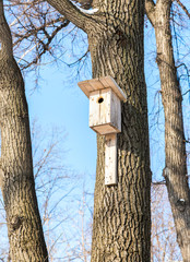 Wooden birdhouse on a high tree in the winter park