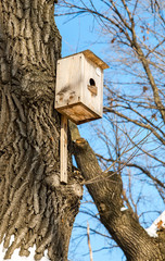 Wooden birdhouse on a high tree in the winter park