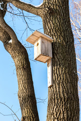 Wooden birdhouse on a high tree in the winter park