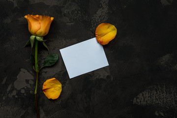 Yellow rose and empty card on a dark background