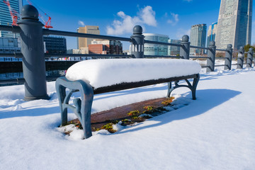 雪の積もったベンチ 横浜 運河パーク
