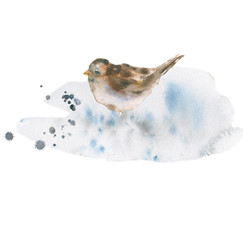 Sparrow watercolor. Animal’s illustration, flowers and herbs, boho style
