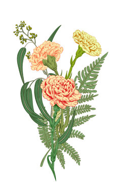 carnations bouquet, peach, yellow, green, botanical clip art preview