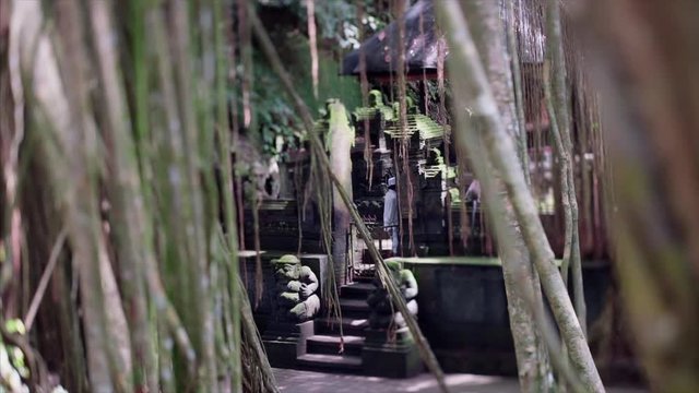 travel and life on bali