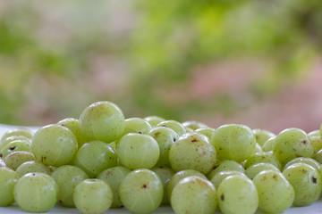 Phyllanthus emblica, Makhampom for herbal medicines used for coughing