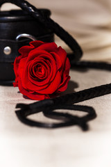 Rose, Peitsche und Handfessel