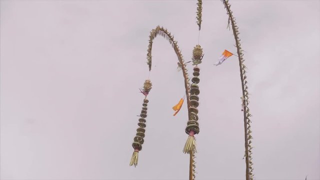 Bamboo Pole