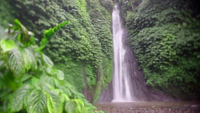 bali nature waterfall