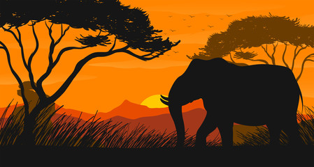 Fototapeta na wymiar Silhouette scene with elephant in the field