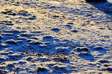 Zbliżenie na śnieg oświetlony kontrowym słońcem.