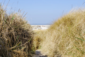 Fototapeta na wymiar Dünenweg zum Meer