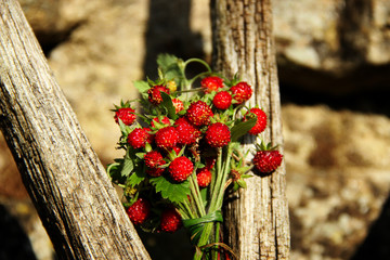 Fresh forest strawberries on an old wooden wheel