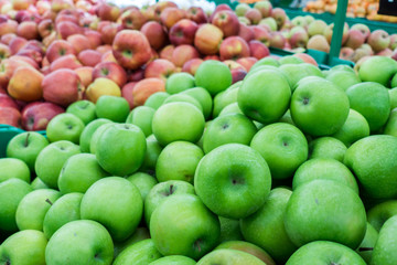 Red and green apples at the farmers market. red and green apples on the market