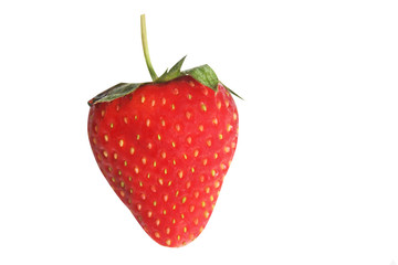 Freshness red strawberry with stem and green leaf isolated on white background