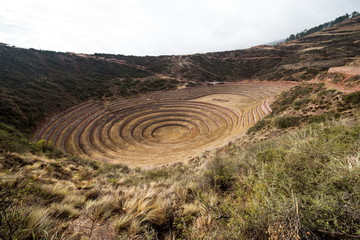Fototapeta na wymiar Agriculture circular terraces at Moray Peru