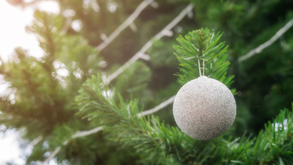 Fototapeta na wymiar silver ball hanging on a Christmas tree.