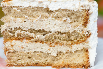 Piece of biscuit cake with whipped cream. Selective focus.