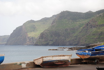 Fototapeta na wymiar Madeira, Blumen, Atlantik, Funchal