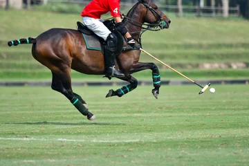 Fensteraufkleber Horse polo player use a mallet hit ball © Hola53