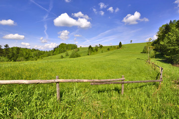 Landscape spring scenery with meadow and wooden fence