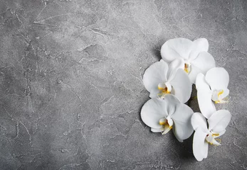  white orchid on the grey stone © Olena Rudo