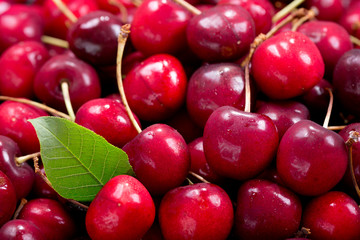 close up of fresh cherries